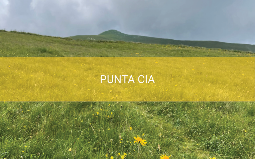 Punta Cia